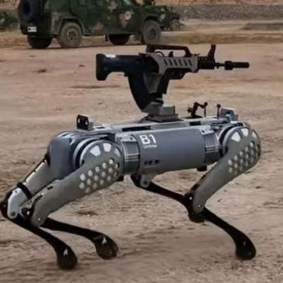 Military electronic robot dog for reconnaissance and combat