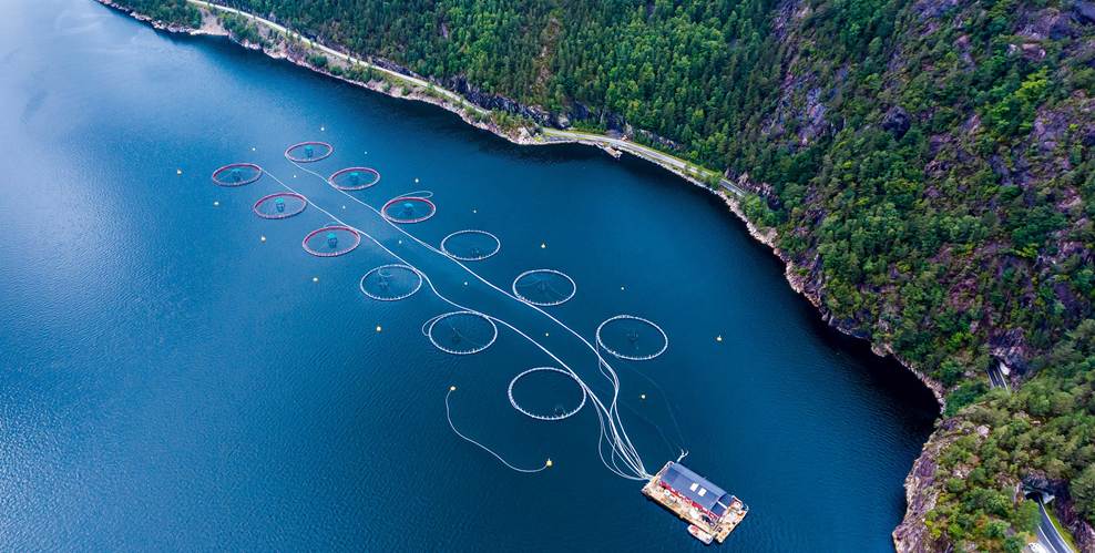 How to choose and compare LigoWave CPE DLB5 / DLB5-15N/DLB5-15AC /DLB 5-20n/ DLB5-20AC