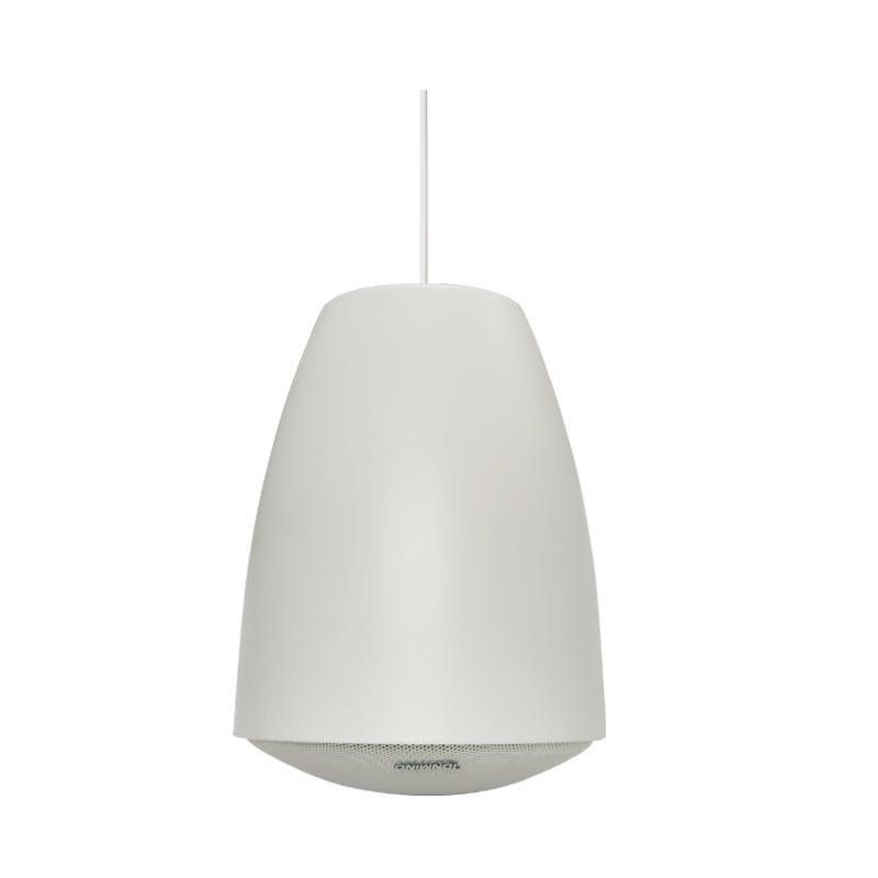 30W IP Pendant Speaker Indoor