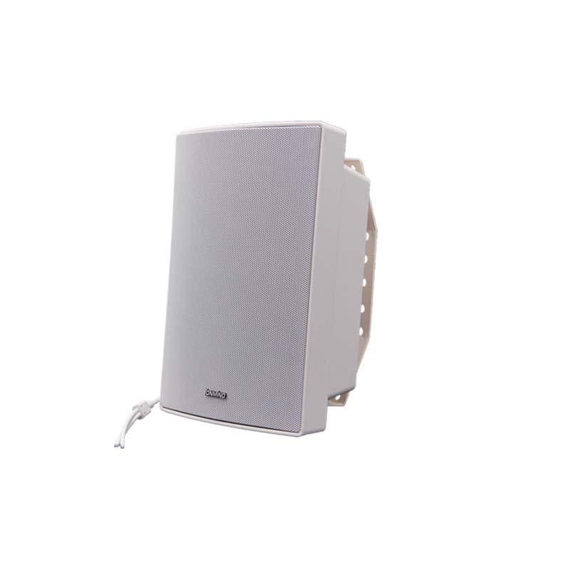15W Network Speaker Wall Mounted